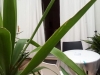 Residenza